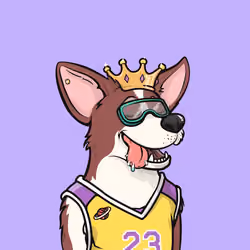 Approving Corgis #6970