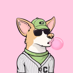 Approving Corgis #4606