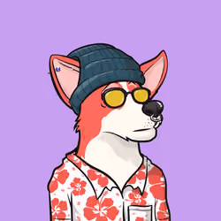 Approving Corgis #6474