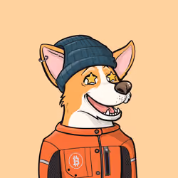 Approving Corgis #4524