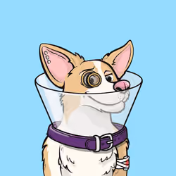 Approving Corgis #6161