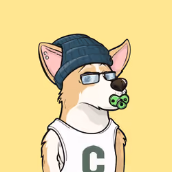 Approving Corgis #5141
