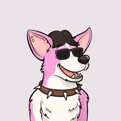Approving Corgis #5497