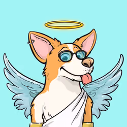 Approving Corgis #1592