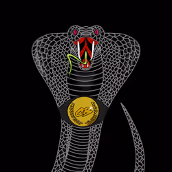 c0ntraband cobra #149