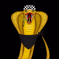 c0ntraband cobra #24