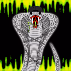 c0ntraband cobra #25