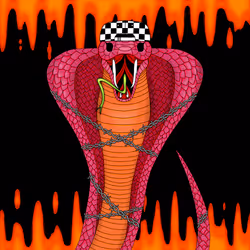 c0ntraband cobra #39