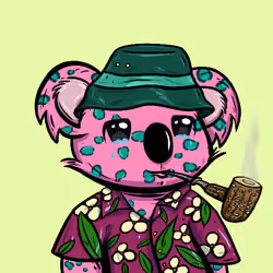 Koala NFT Club #18