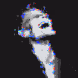 2036