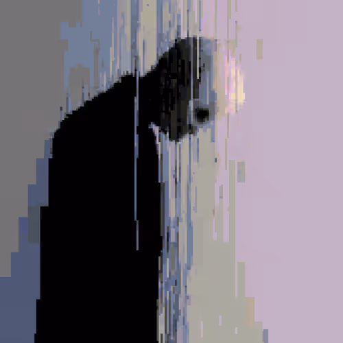 Evaders
