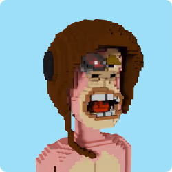 ApeVoxel #9422