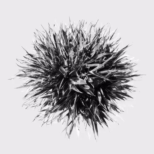 Ether By On Thin Ice
