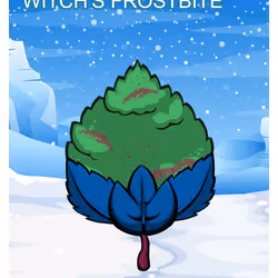 Witch's Frostbite