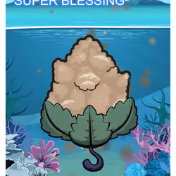 Super Blessing