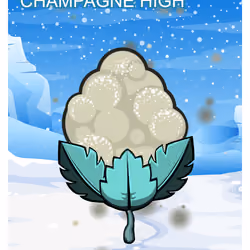 Champagne high