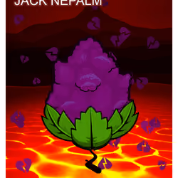 Jack Nepalm