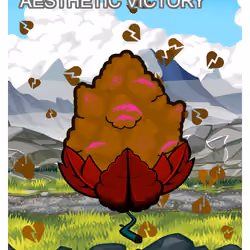Aesthetic Victory