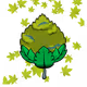 24119
