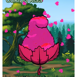 Cupid's Kiss