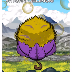 Witch's Delirium