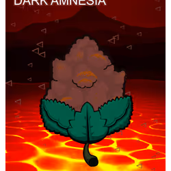23606