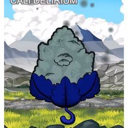 Cali Delirium