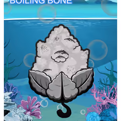 Boiling Bone