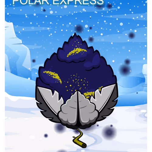 Polar Express
