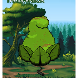 11426