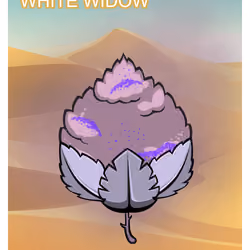White Widow