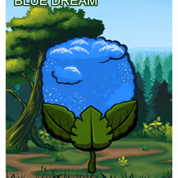Blue Dream