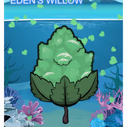 Eden's Willow