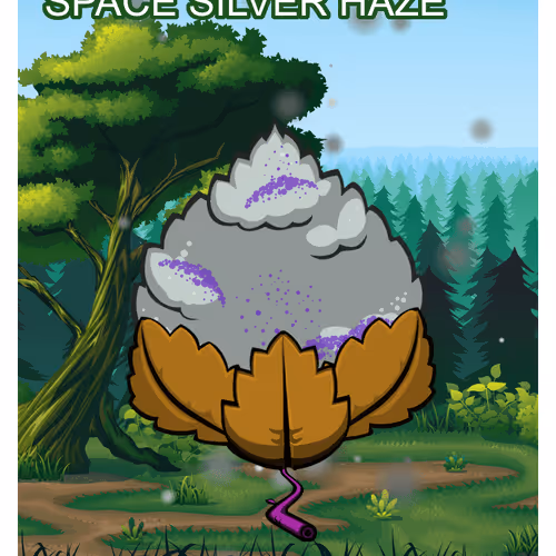 Space Silver Haze