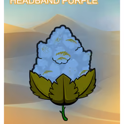 Headband Purple