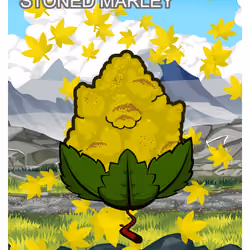 Stoned Marley