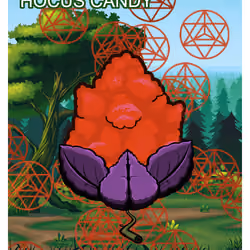 Hocus Candy