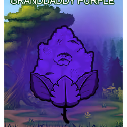 Granddaddy Purple