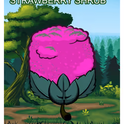 Strawberry Shrub