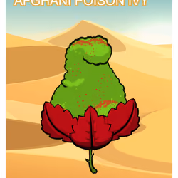 Afghani Poison Ivy