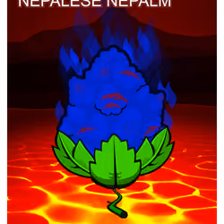 Nepalese Nepalm