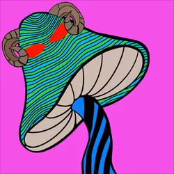 Magic Mushroom #716