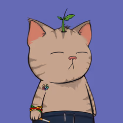 Caticals