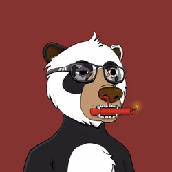 Bears Not Okay #446