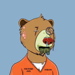 Bears Not Okay #3694