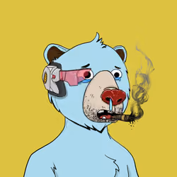 Bears Not Okay #326