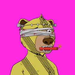 Bears Not Okay #1288