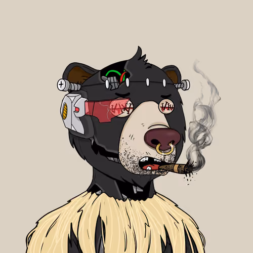 Bears Not Okay #3728