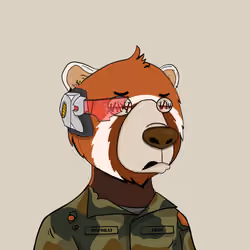 Bears Not Okay #465