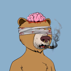 Bears Not Okay #1916
